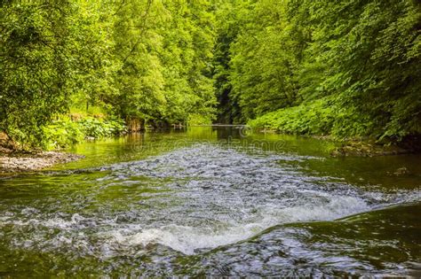 Beautiful Image Of The River Ahr Among Great Green Vegetation Stock
