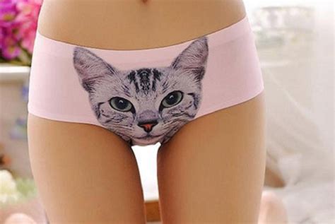 Crazy Cat Lady Crazy Cats Women Panties Cat Clothes Cat Print Top