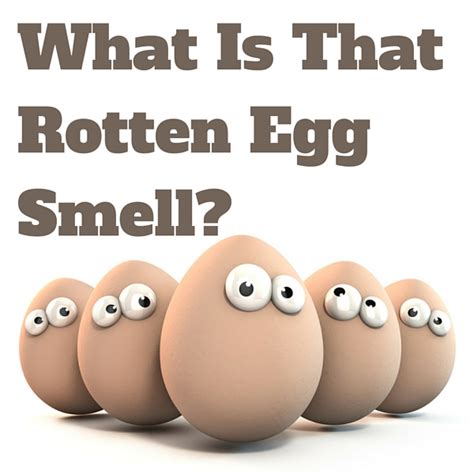 Fix That Rotten Egg Smell Hydrogen Sulfide Your Water In 3 Steps