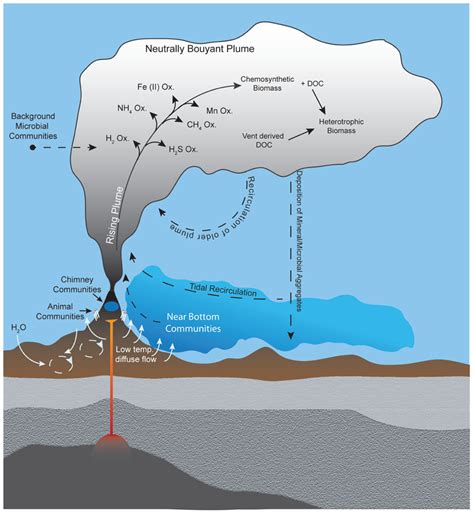 What Are Hydrothermal Vents Progressive Smart Quiz