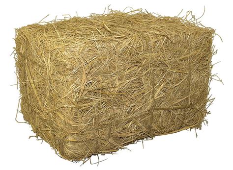 Large Hay Bale Easter And Spring