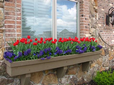 15 Gorgeous Flowering Window Box Ideas For Spring