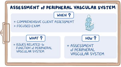 Physical Assessment Peripheral Vascular System Nursing Osmosis