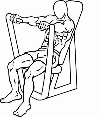 Chest Press Machine Bench Seated Workout Exercise
