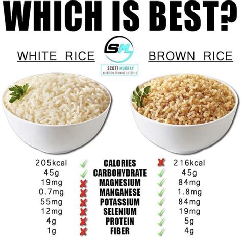 How Many Calories In 1 Cup Brown Rice Cooked Keitodillamanguetzlaff
