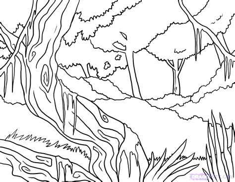 Forest Coloring Pages For Kids At Free Printable