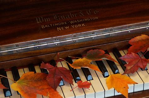 Autumn Piano 1 Photograph By Mick Anderson Fine Art America