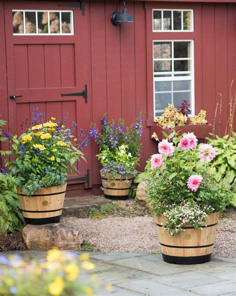 Whitefly, scale, spider mites, and mealy bugs may attack rosemary. VegTrug™ Wooden Barrel Planter | Gardener's Supply in 2020 ...