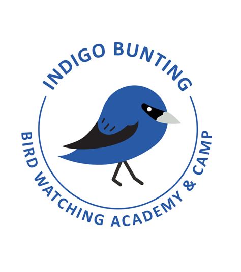 Indigo Bunting Bird Watching Academy