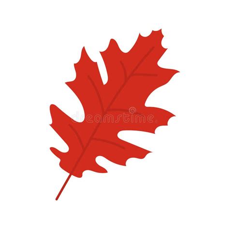 Cute Autumn Leaf Isolated On White Background Stock Vector