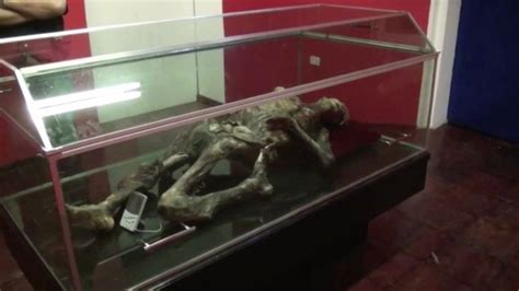 Exhiben Misterioso Cuerpo Momificado Hallado En El Monte Orizaba De M Xico