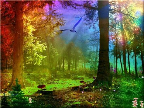 Fantasy Rainbow Forest Forest Light Magical Forest Enchanted Forest