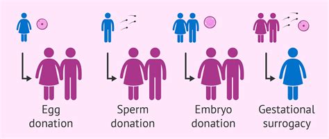 You can earn money and change lives when you become an egg donor. Using a Sperm Donor to Get Pregnant - How Does the Process ...
