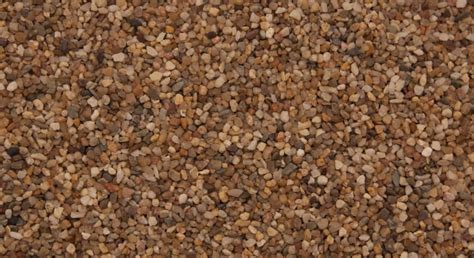 2 answers 2 from verified tutors. Aquarium Decoration | Unipac Fiji Coarse Sand (Large Size ...