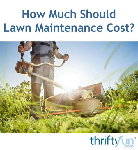 At most lawns need fertilizer. How Much Should Lawn Maintenance Cost? | ThriftyFun