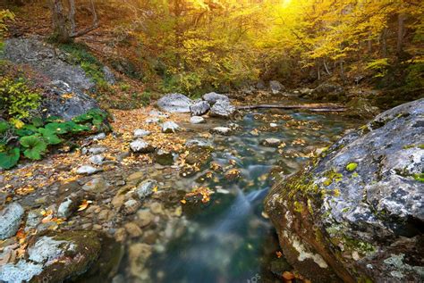 Autumn River — Stock Photo © Zatvor 4086032