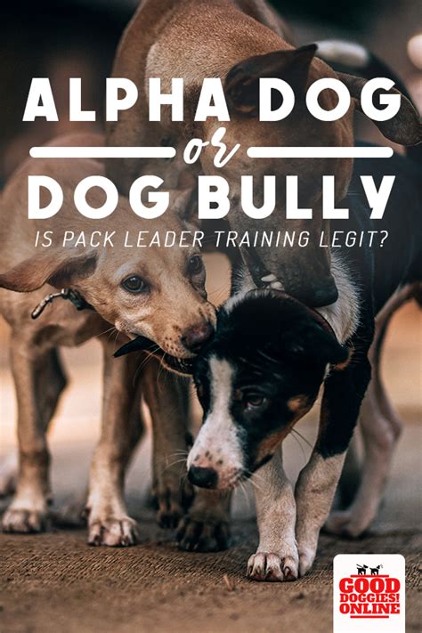 You See A Lot Of Dog Trainers Talk About Being The Leader Of The Pack