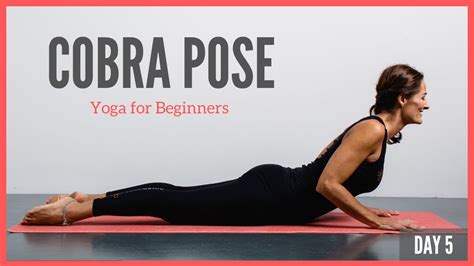 How To Do Cobra Pose Yoga For Beginners 5 Minute Yoga Youtube
