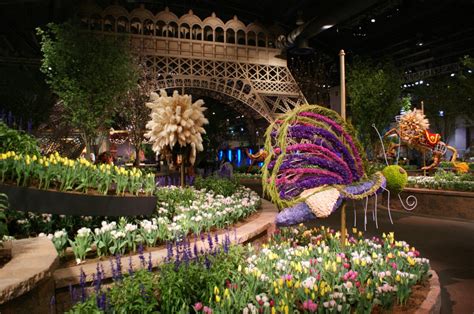 British and australian stations are especially known for this list answers the questions, what is the best gardening show of all time? and what are the greatest gardening shows? This Year's Philadelphia Flower Show Takes Inspiration ...