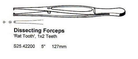 DISSECTING FORCEPS RAT TOOTH 1X2TH 5 127MM Surgical Instruments