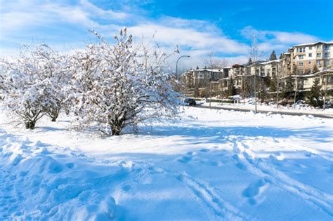 Beautiful Snow Scene In Winter City Stock Photo Free Download