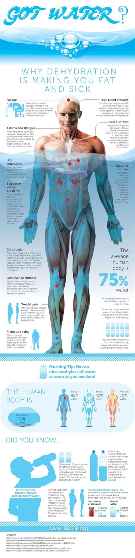 Why Proper Hydration Is Important Infographic How To Stay Healthy