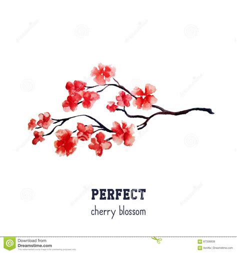 Téléchargez des illustrations, vecteurs et clipart 303,432 japonais gratuites ou pour aussi bas que $0.20usd.les nouveaux utilisateurs bénéficient d'un rabais de 60%. Fleur Rouge Réaliste De Sakura - Cerisier Rouge Japonais D ...