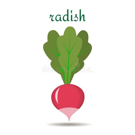 Radish Icon In Flat Style Vector Illustration Stock Vector