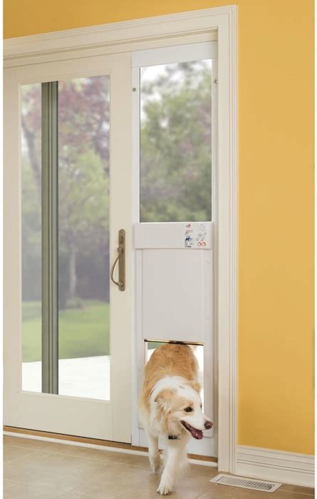 You can replace one or more panes of glass to make room for a pet door. Doggy Doors | Petdoorsmelbourne.net.au