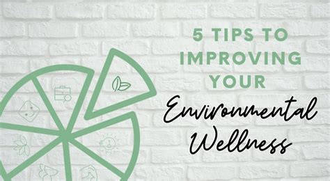 Do Your Part 5 Tips For Improving Your Environmental Wellness