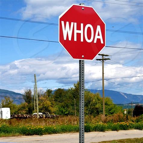 Whoa Stop Sign By Trevor Henry Photo Stock Studionow