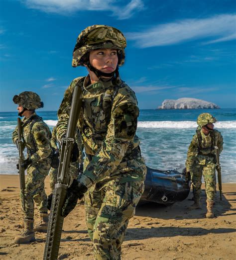 Mexico Marines Have Selected Us4ces Transitional Camo Have Renamed The