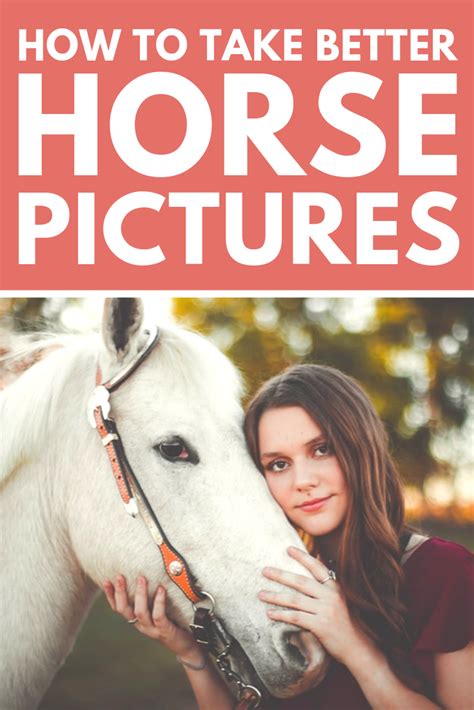 Simple Tips To Improve Your Horse Photos Horse Photos Horses Horse