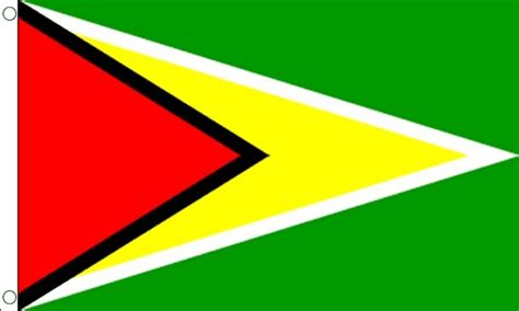 Guyana Flag Medium Mrflag