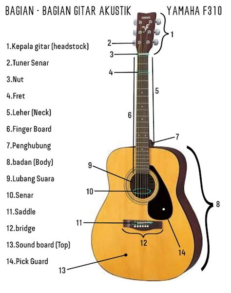 Istimewa Gitar Mengenal Bagian Bagian Gitar Beserta Fungsinya