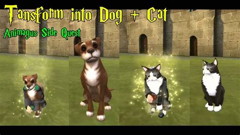 Becoming Dog And Cat Animagus Side Quest Harry Potter Hogwarts Mystery