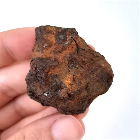Brenham Meteorite Pallasite From Kansas Meteolovers