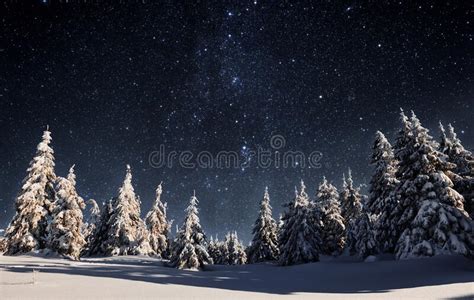 Starry Sky In Winter Snowy Night Majestic Landscape Stock Image