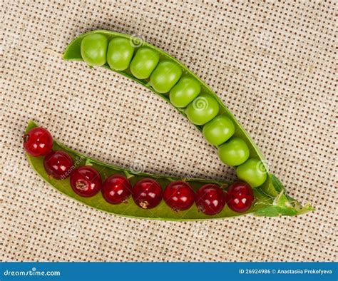 Peas Pod Stock Photo Image Of Nature Healthy Background 26924986