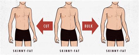 best workout plan for skinny fat guys eoua blog