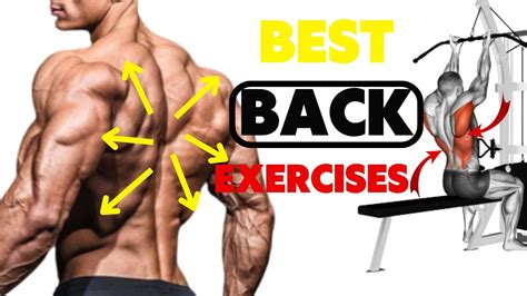 12 Best Back Workout V Shape Back Exercises Youtube