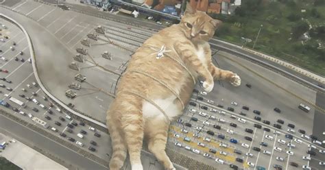 This Guy Photoshops Cats Into Giants And The Result Is Meow Nificent
