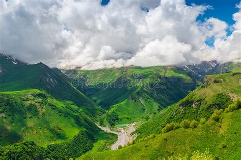 59231 Green Landscape Caucasus Stock Photos Free And Royalty Free