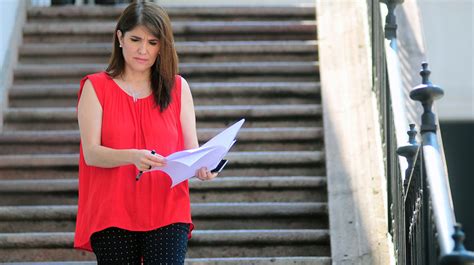 Se ha desempeñado ejerciendo cargos. Gobierno y viaje de fiscales a Brasil: "En la carpeta no ...