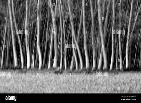 Abstract Nature Motion Blur Background Stock Photo Alamy
