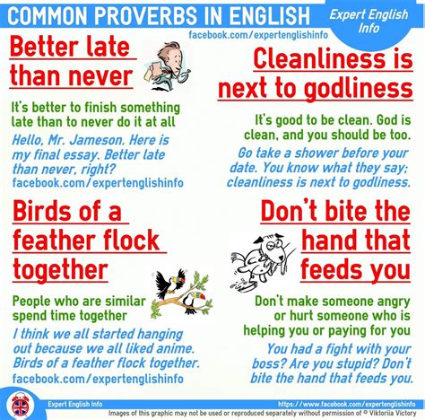 English Phrases | English Expressions | Pinterest | English phrases, English and English idioms