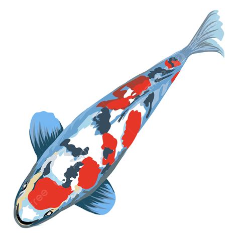 Ilustrasi Gambar Ikan Koi Ikan Ilustrasi Menggambar Png Dan Vektor