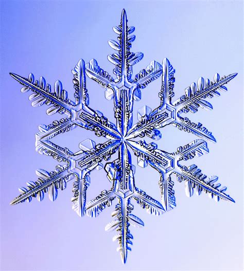 Snowflake Images