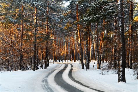 747126 Seasons Winter Forests Roads Snow Trees Rare Gallery Hd