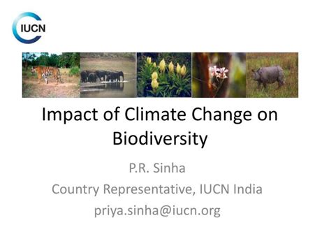Video by california academy of sciences. PPT - Impact of Climate Change on Biodiversity PowerPoint ...